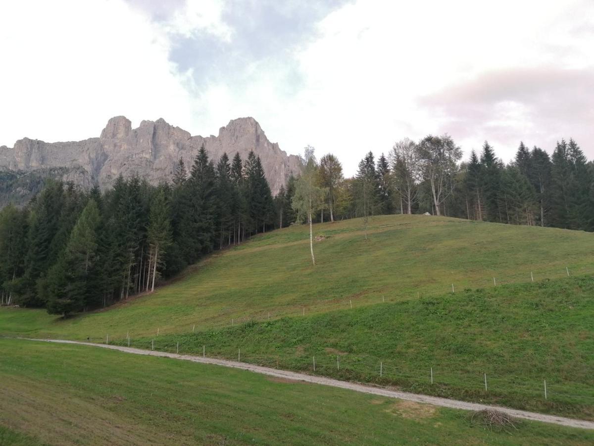 Baita Pra Petina Pale Di San Martino Siror Exterior foto