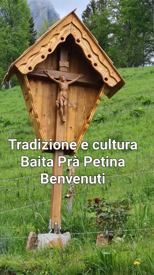 Baita Pra Petina Pale Di San Martino Siror Exterior foto